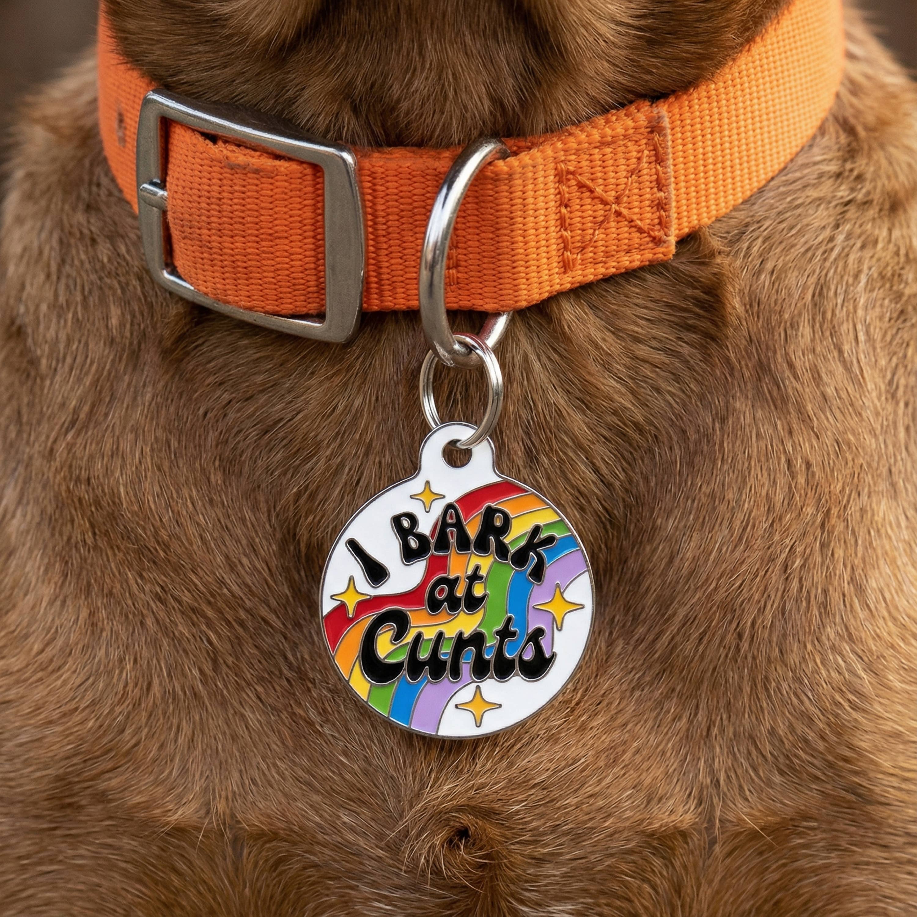 Bad Tags I Bark at Cunts