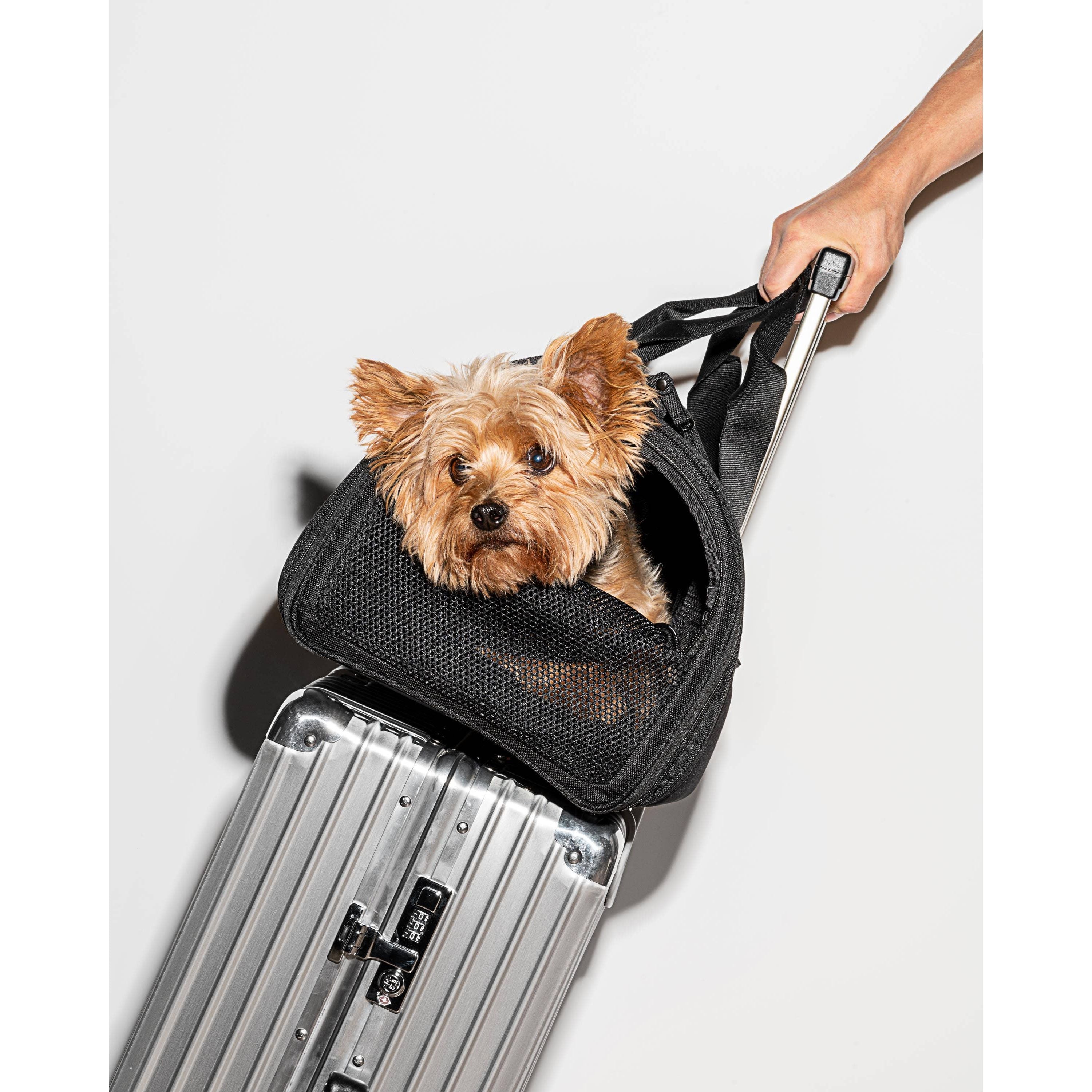 Wild One Travel TSA Compliant Pet Dog Carrier