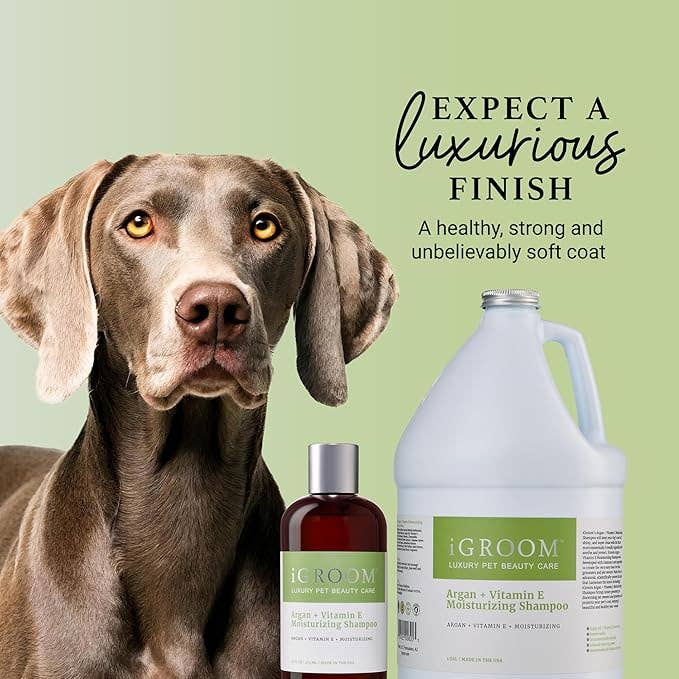 iGroom Argan Vitamin E Moisturizing Shampoo 16oz
