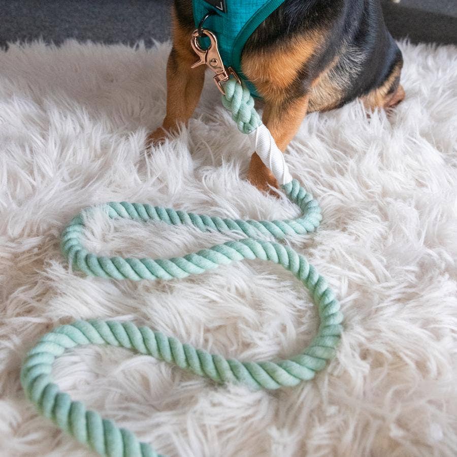 SASSY WOOF Rope Leash - Mint to Be