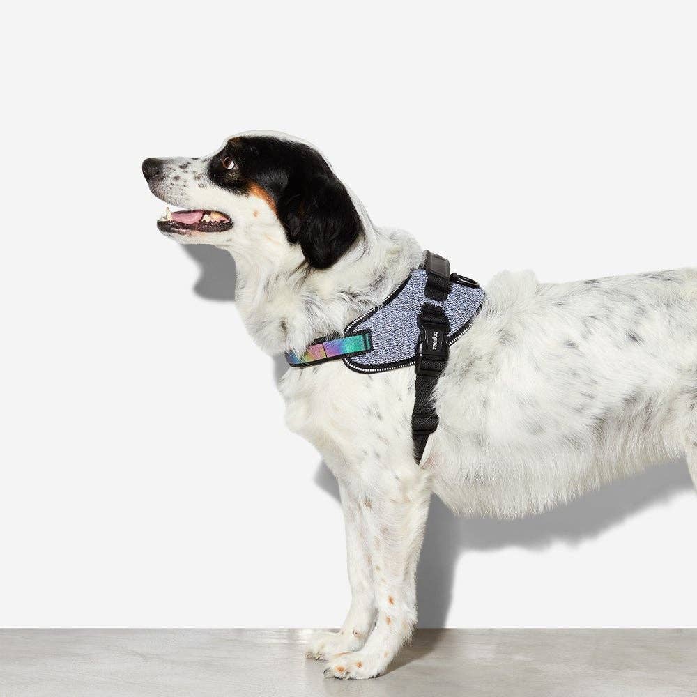 Zee.Dog FlyHarness - Urban