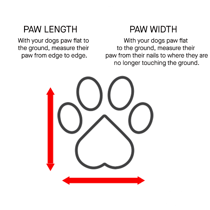 Canada Pooch Basic Socks Pink