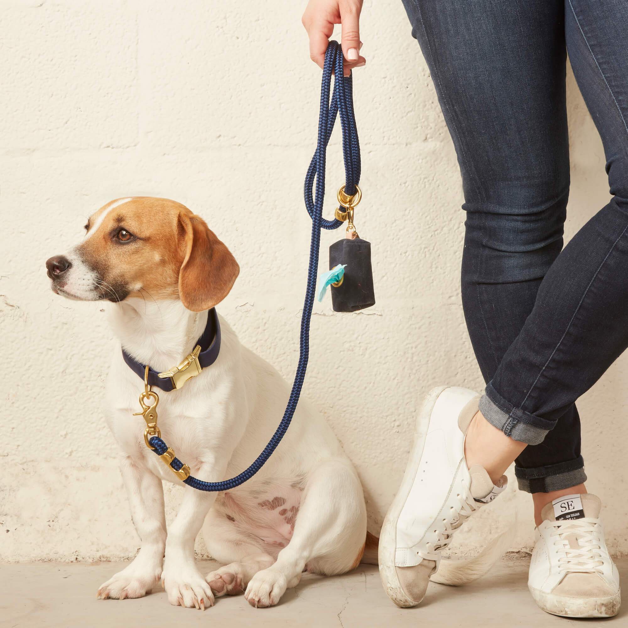 Foggy Dog Collar - Ocean