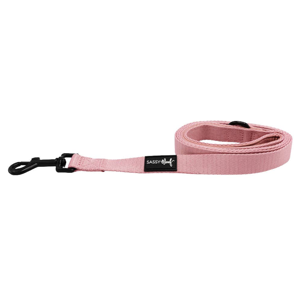 Sassy Woof Dog Leash - Dusty Rose