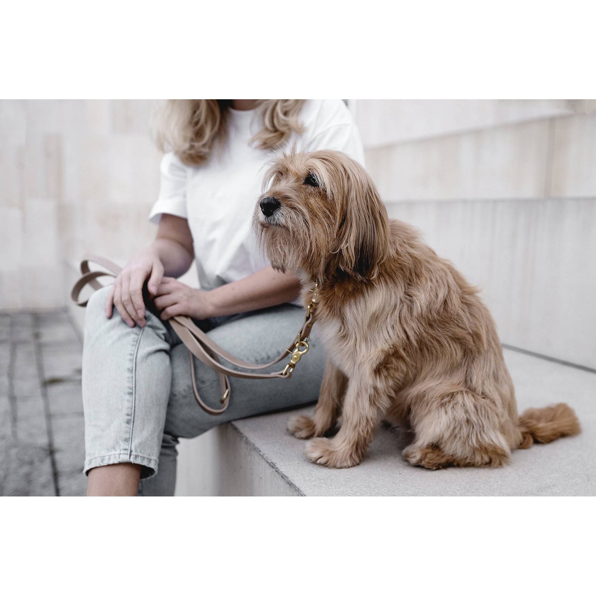 BAND&ROLL Lasso Leather Leash