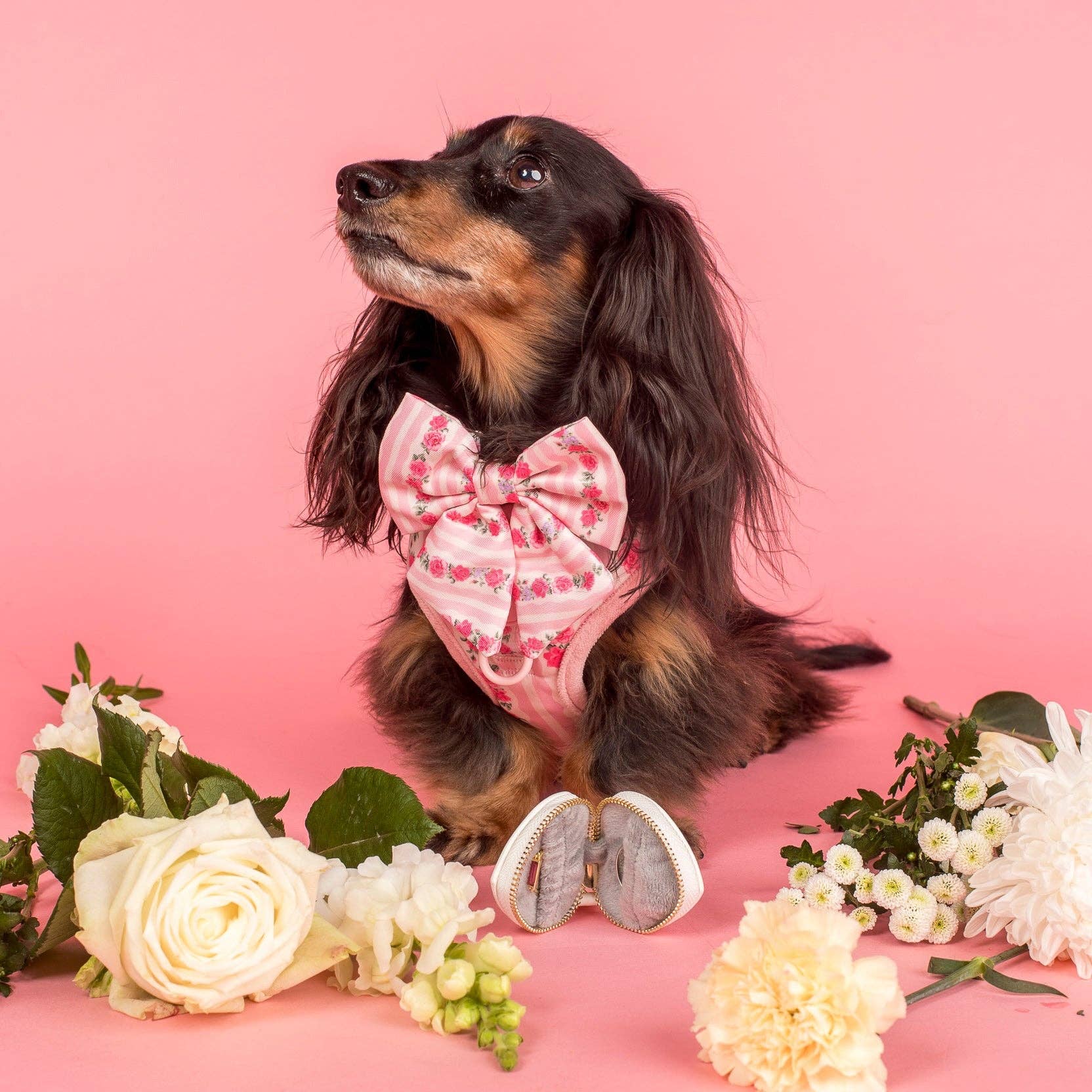 Pablo & Co Vintage Rose Sailor Bow
