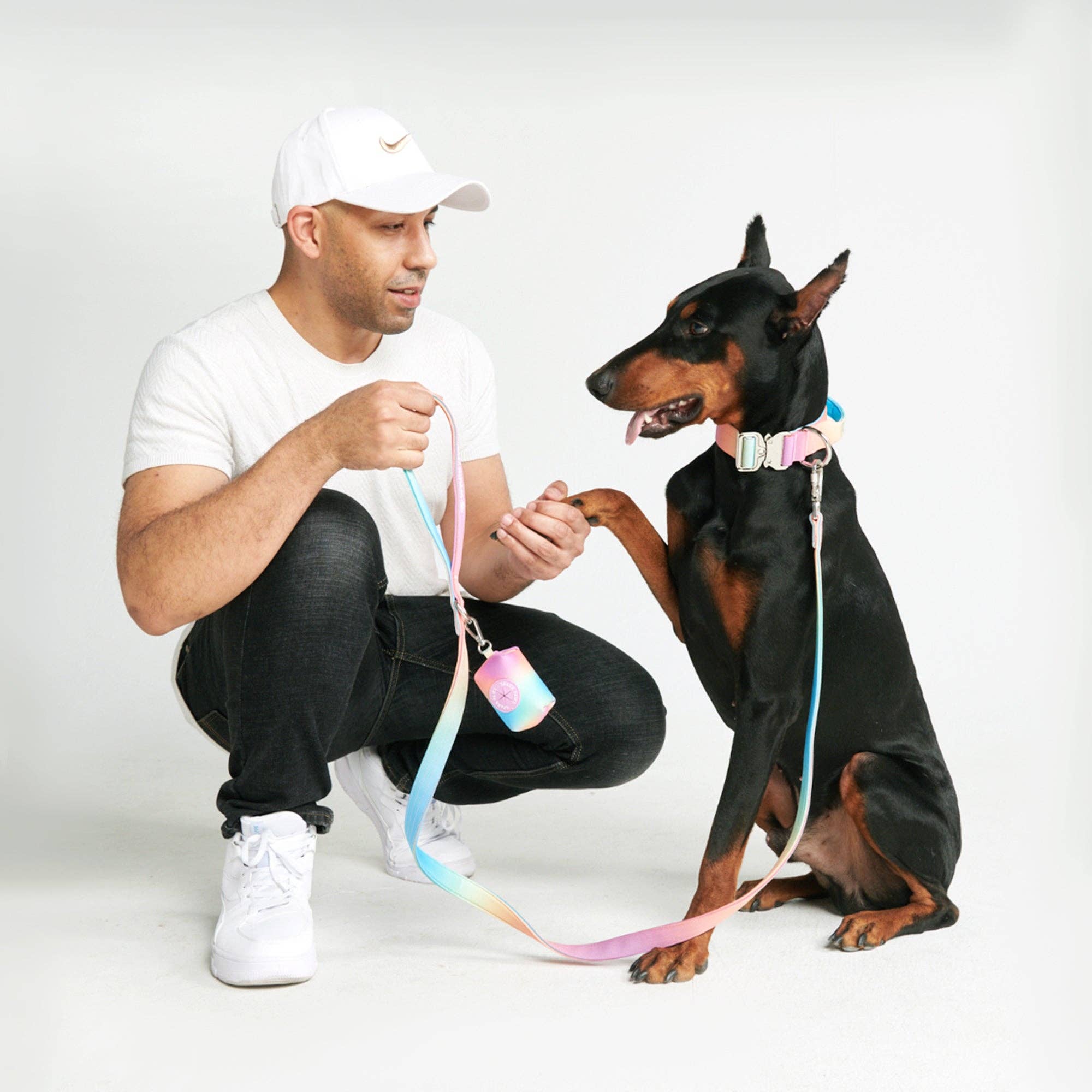 SparkPaws Comfort Control Dog Leash - Pastel Icing