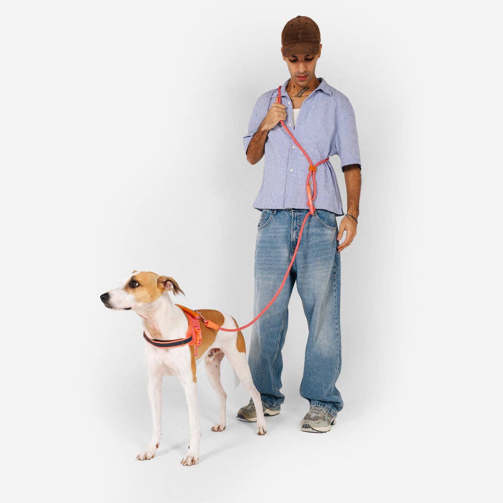 Zee.Dog Hands-Free Leash - Gazelle