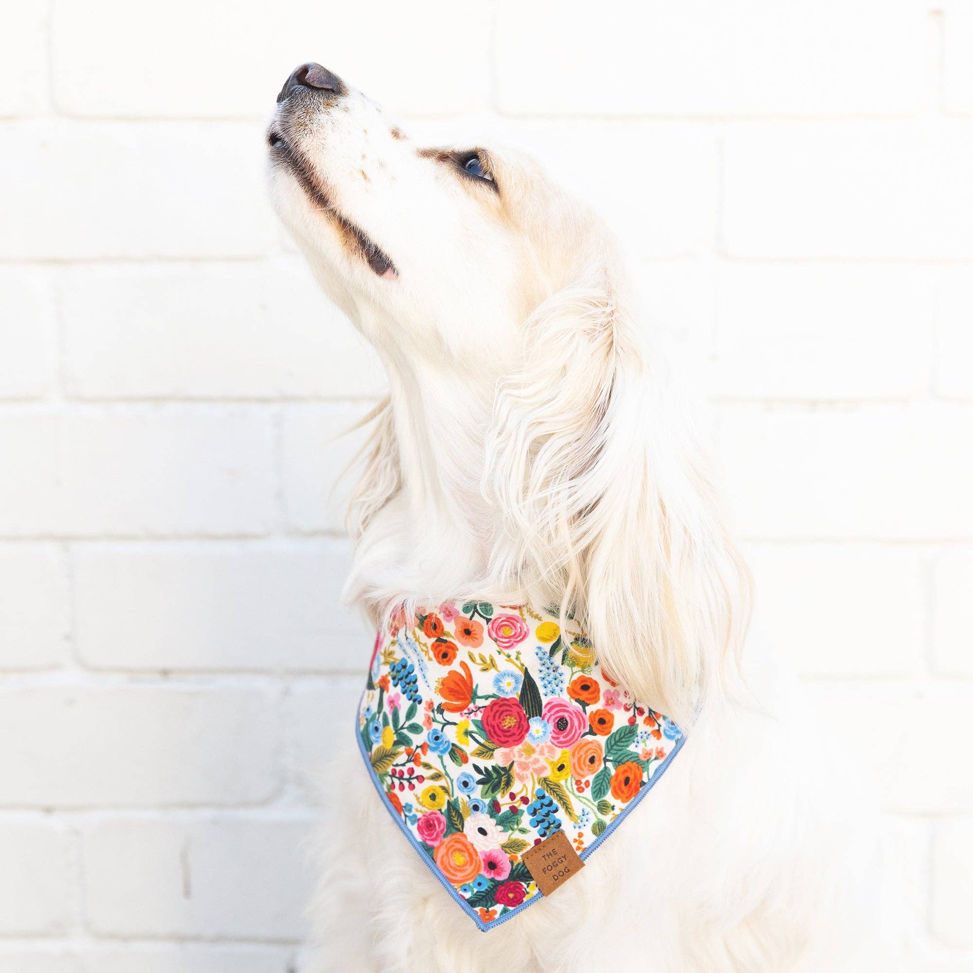 Foggy Dog Garden Party Dog Bandana