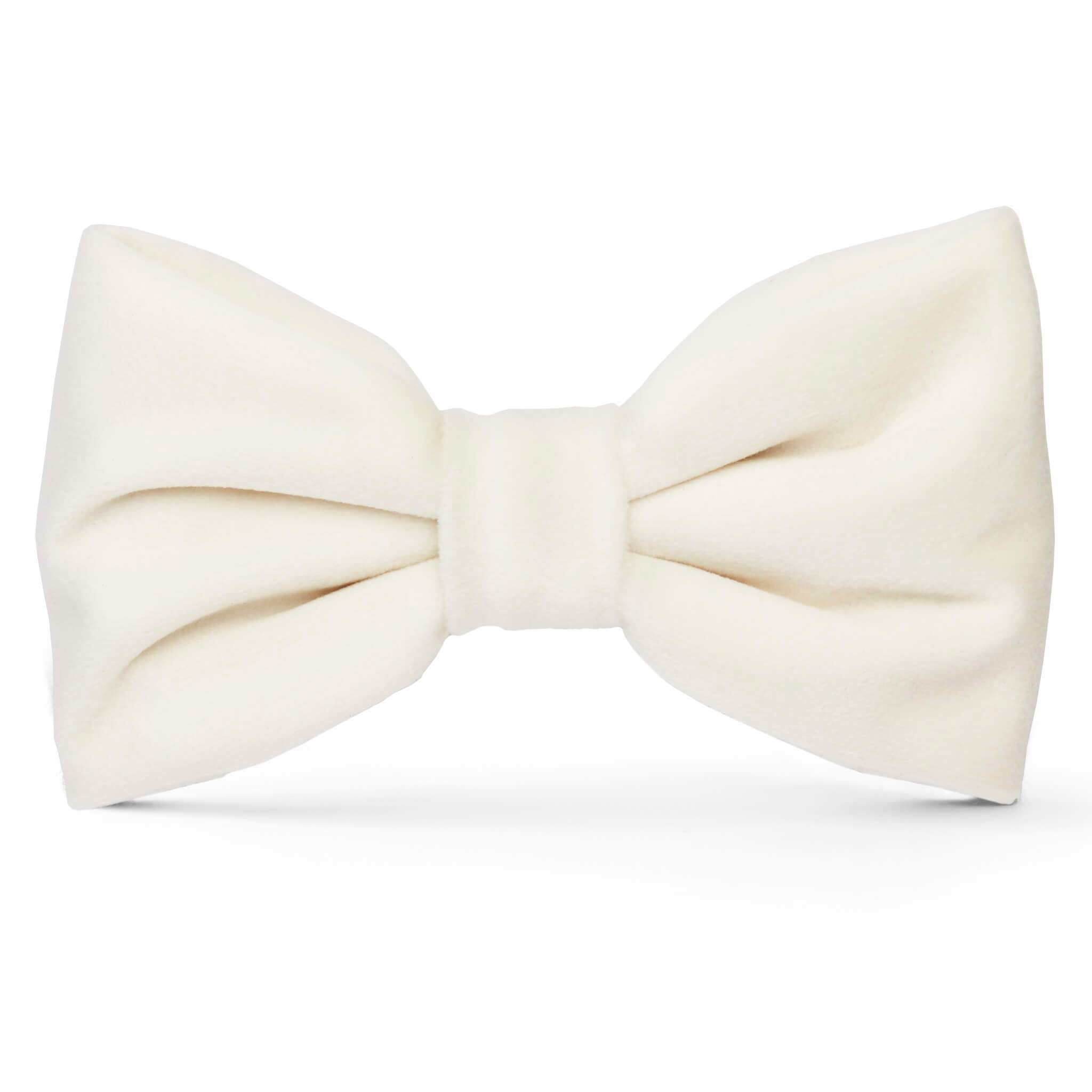 The Foggy Dog Ivory Velvet Dog Bow Tie
