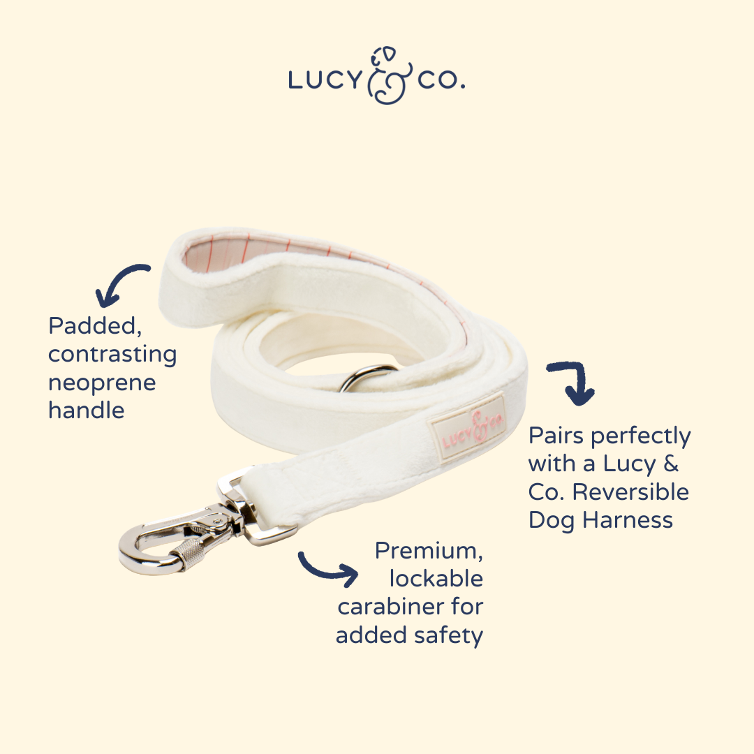 Lucy & Co. Soft White Velour Leash
