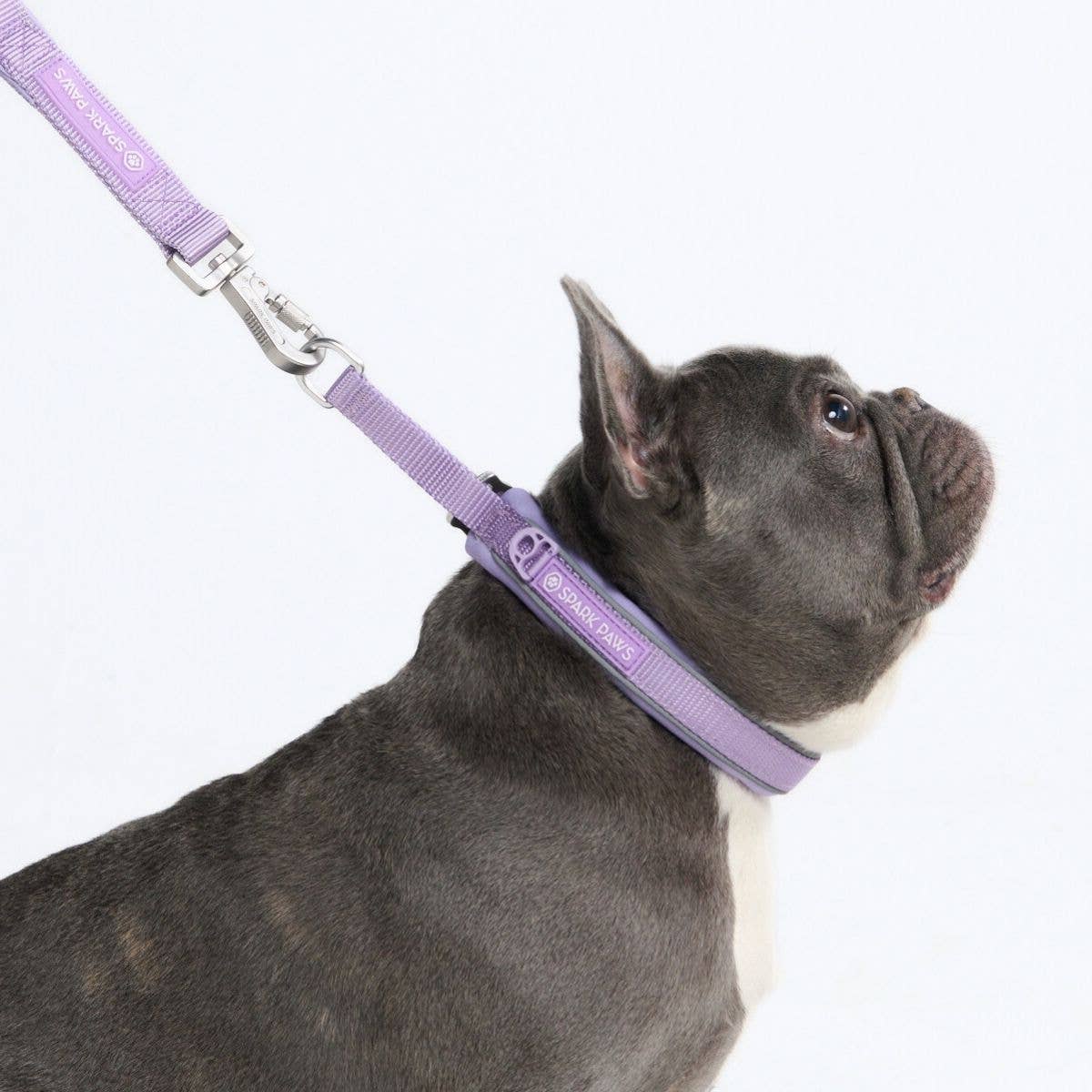 Spark Paws Martingale Collar - Lilac
