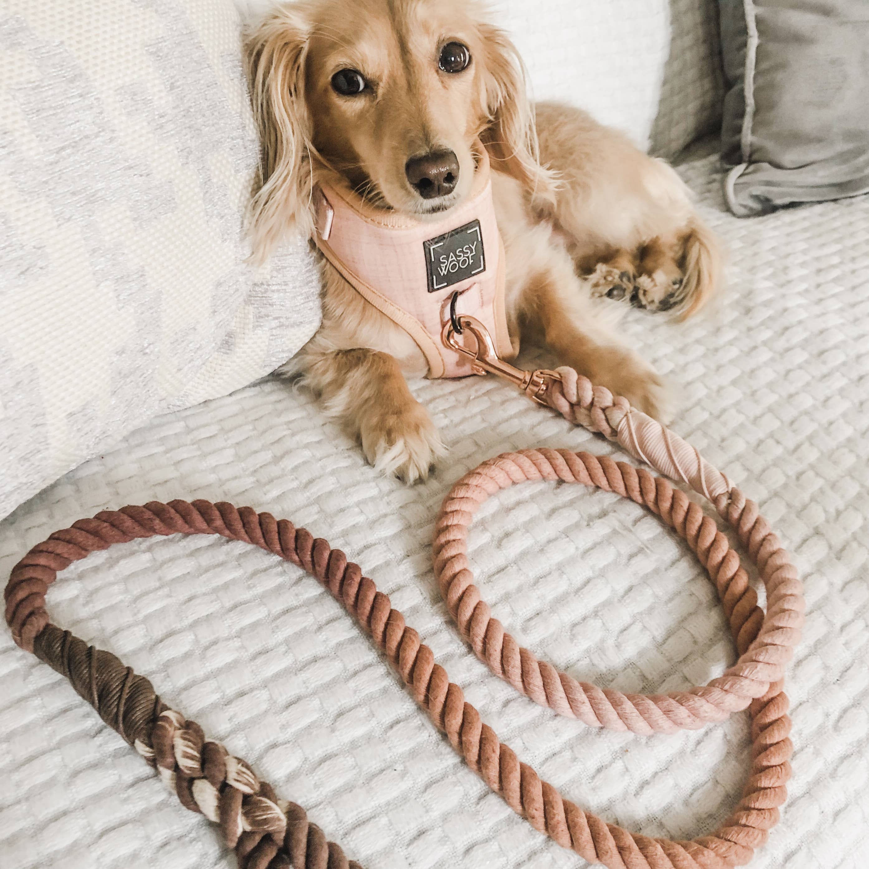 SASSY WOOF Rope Leash - Sicily