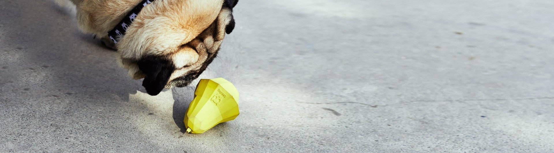 Super Pear | Dog Toy