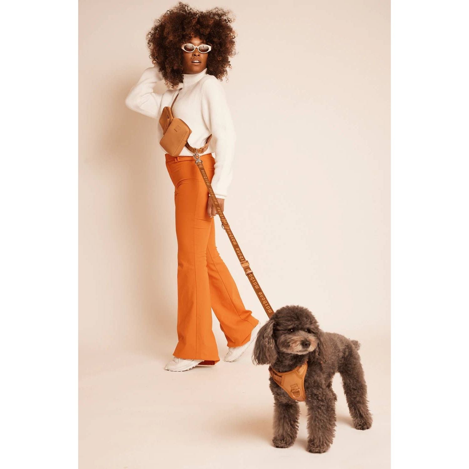 Maxbone Go With Ease! Hands Free Dog Leash