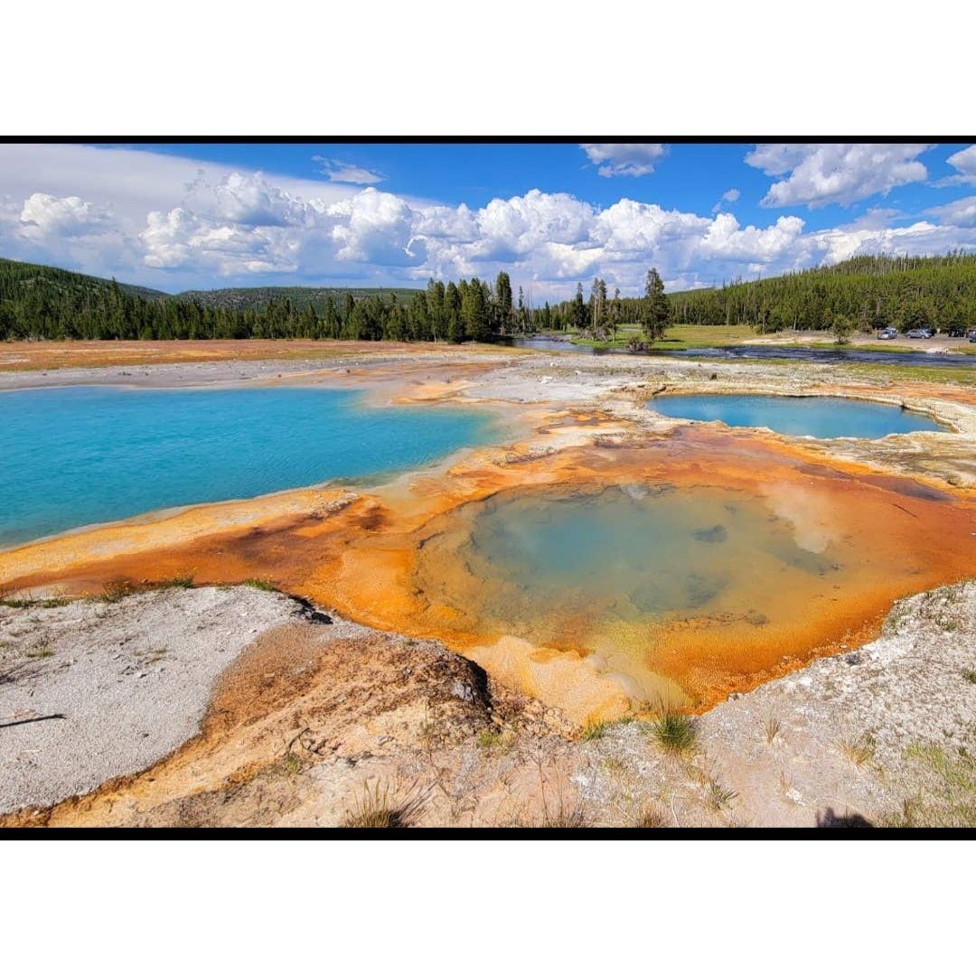 Fox+ Hound Dog Shampoo + Cond. National Park Series Yellowstone