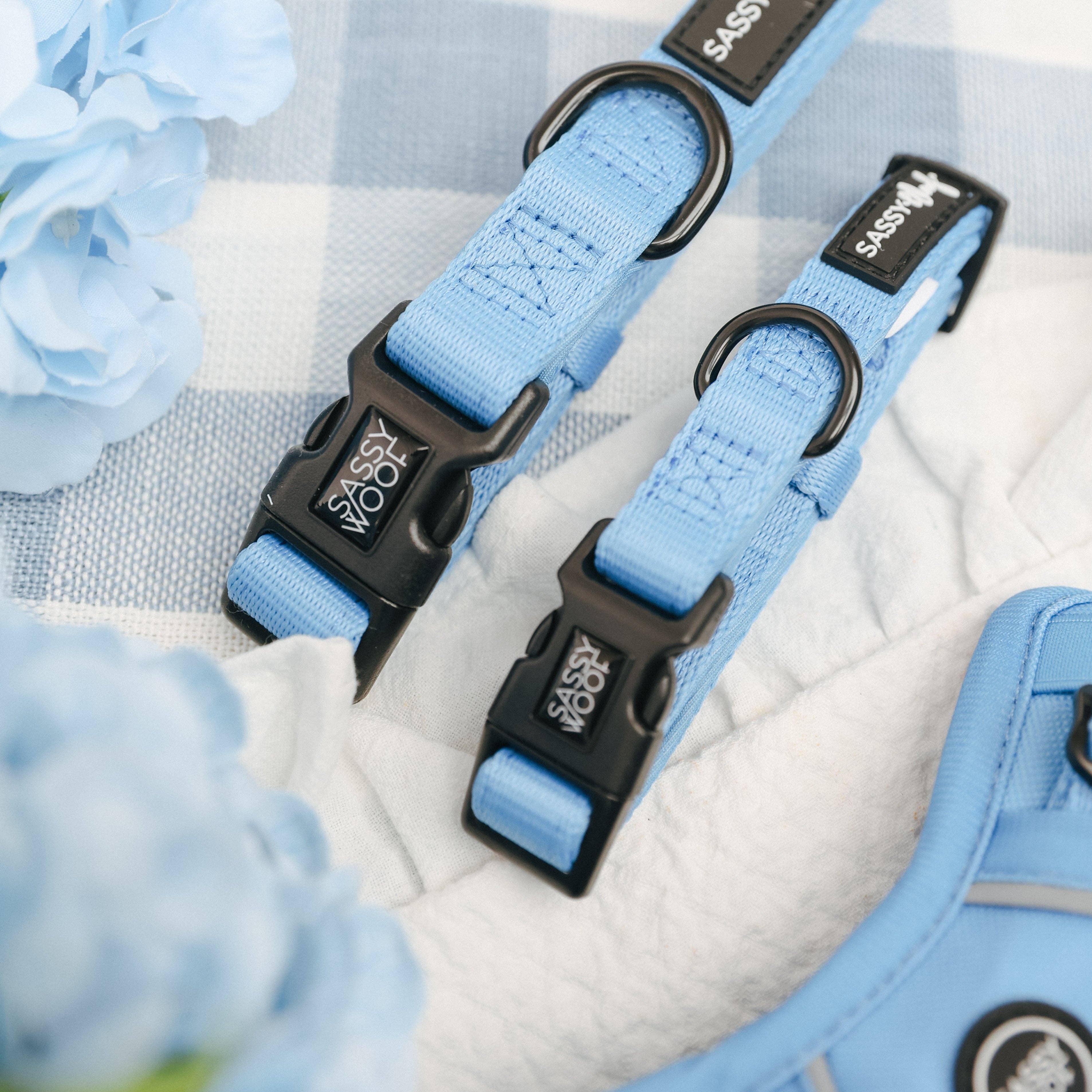 Sassy Woof Dog Collar - Hydrangea