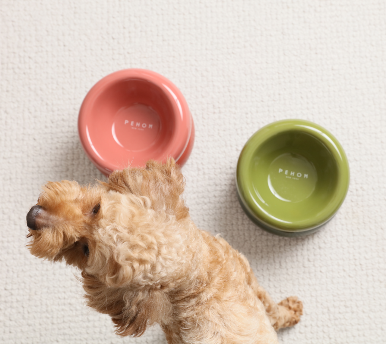 Pehom Soufflé Pet Bowl - Amber Orange