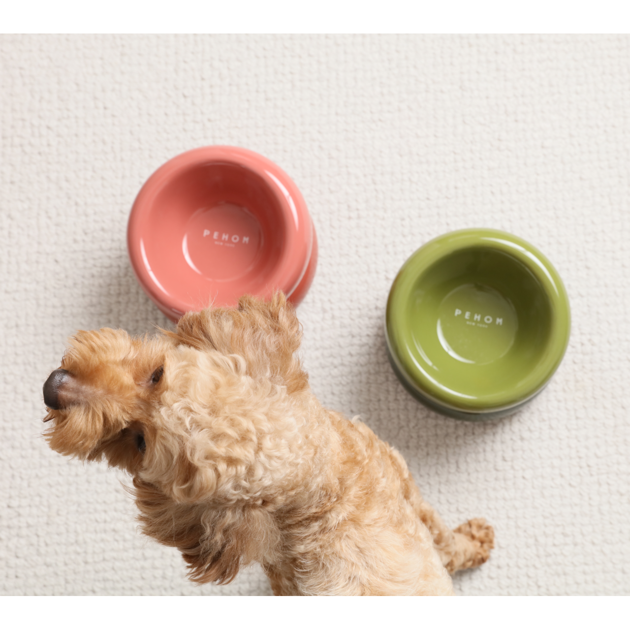 Pehom Soufflé Pet Bowl - Avocado Green