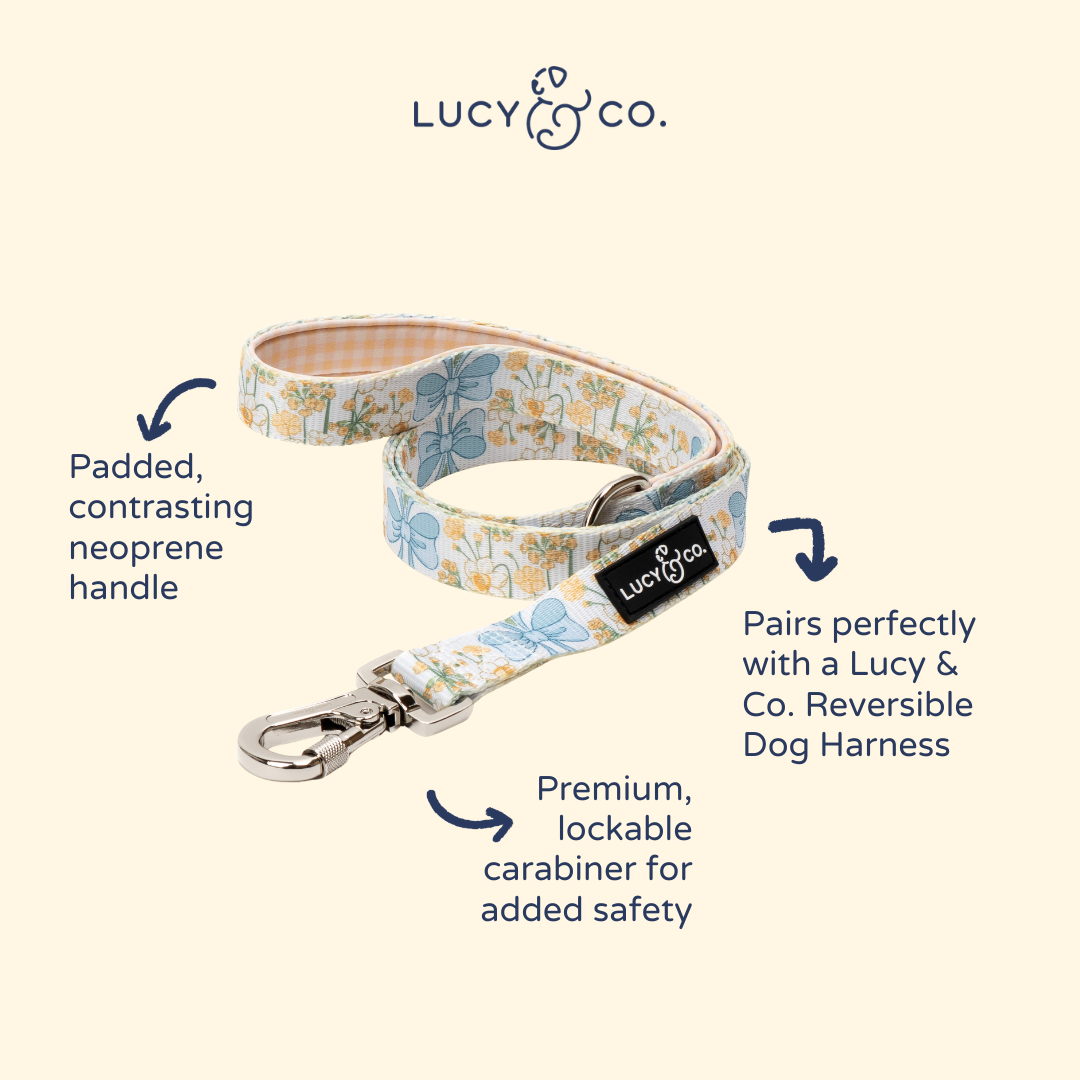 Lucy & Co Sunshine and Daffodils Leash