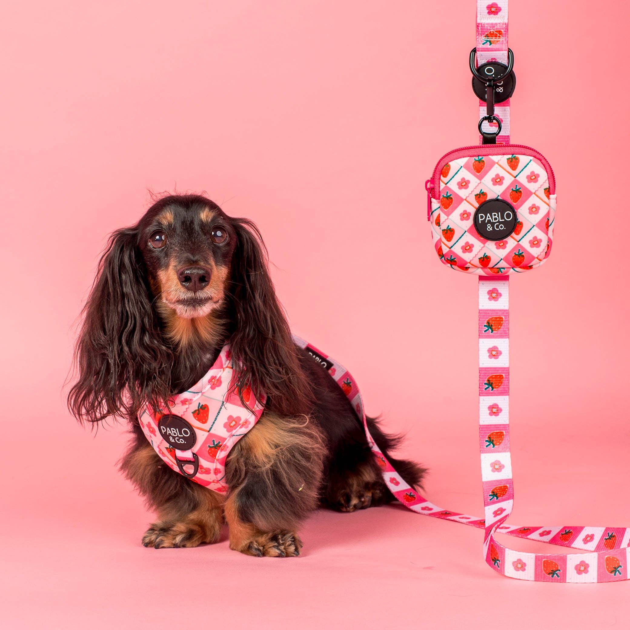Pablo & Co Strawberry Patch Treat Pouch