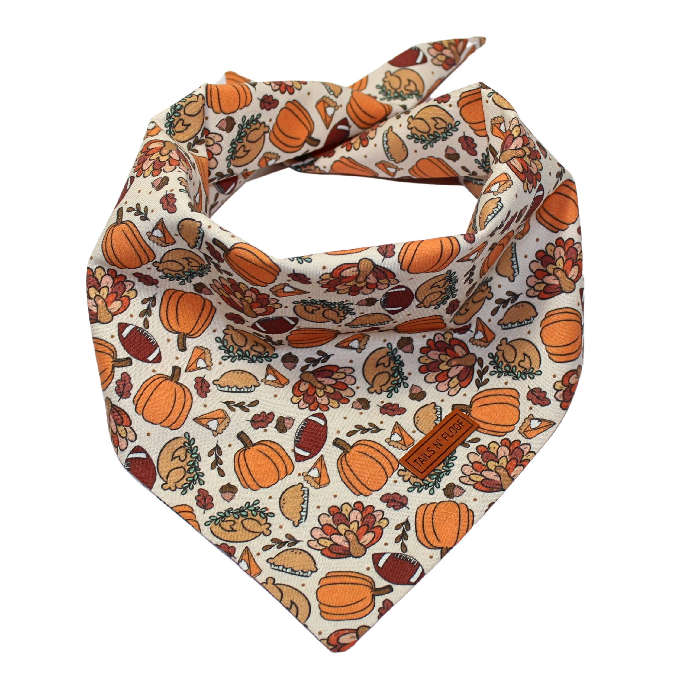 Tails N' Floof Feast & Football Bandana