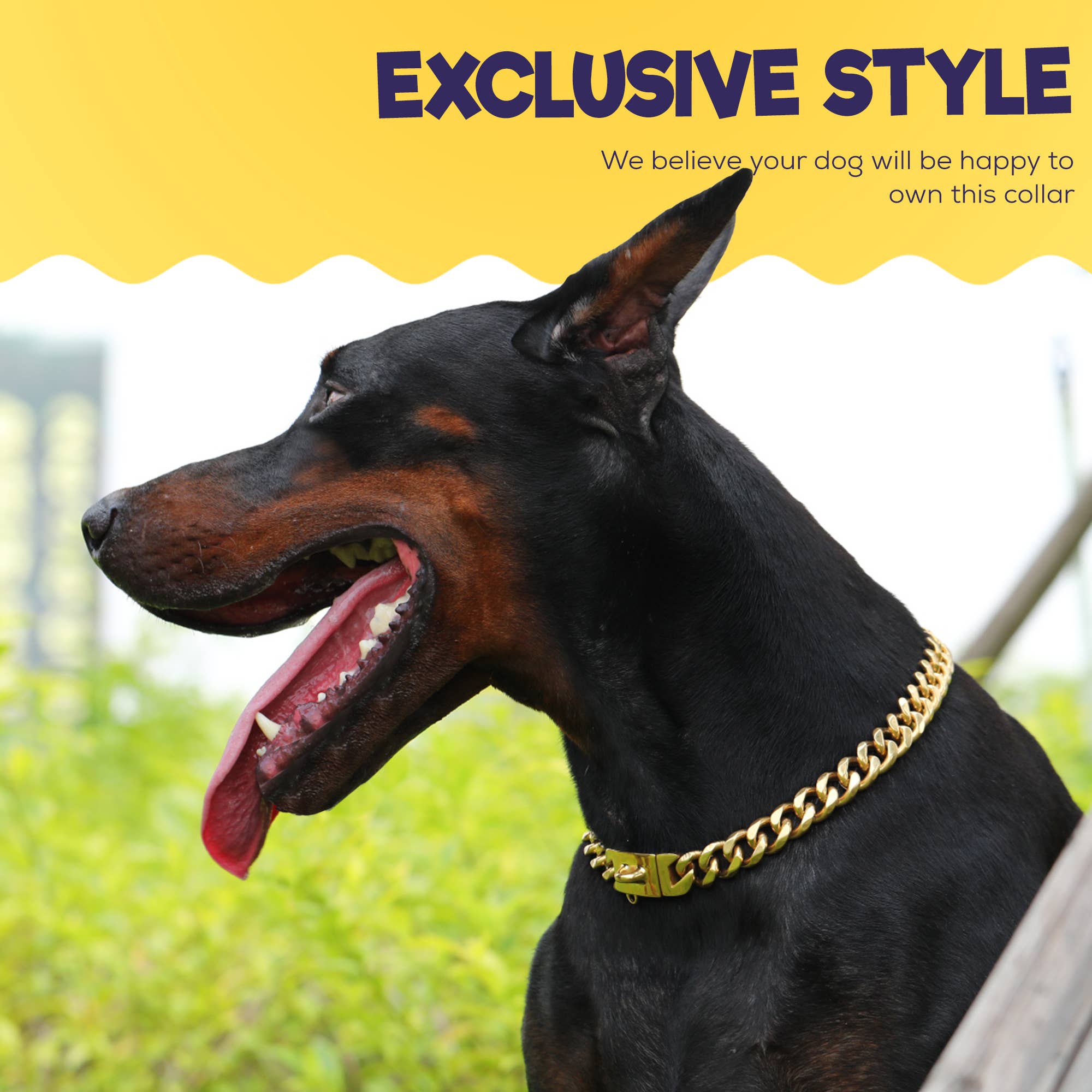 Vudeco Tarvos Gold Chain Dog Collar with Secure Snap Buckle - 19mm