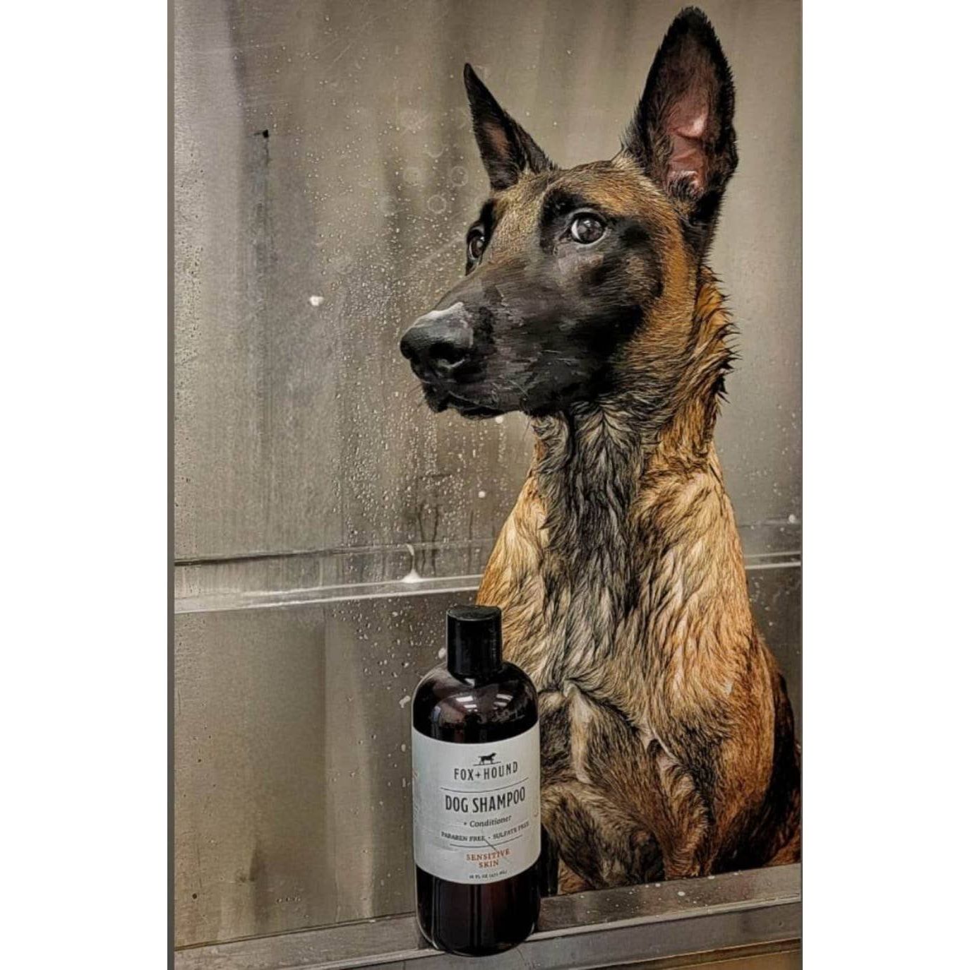 Fox+ Hound Dog Shampoo + Cond. National Park Series Yellowstone