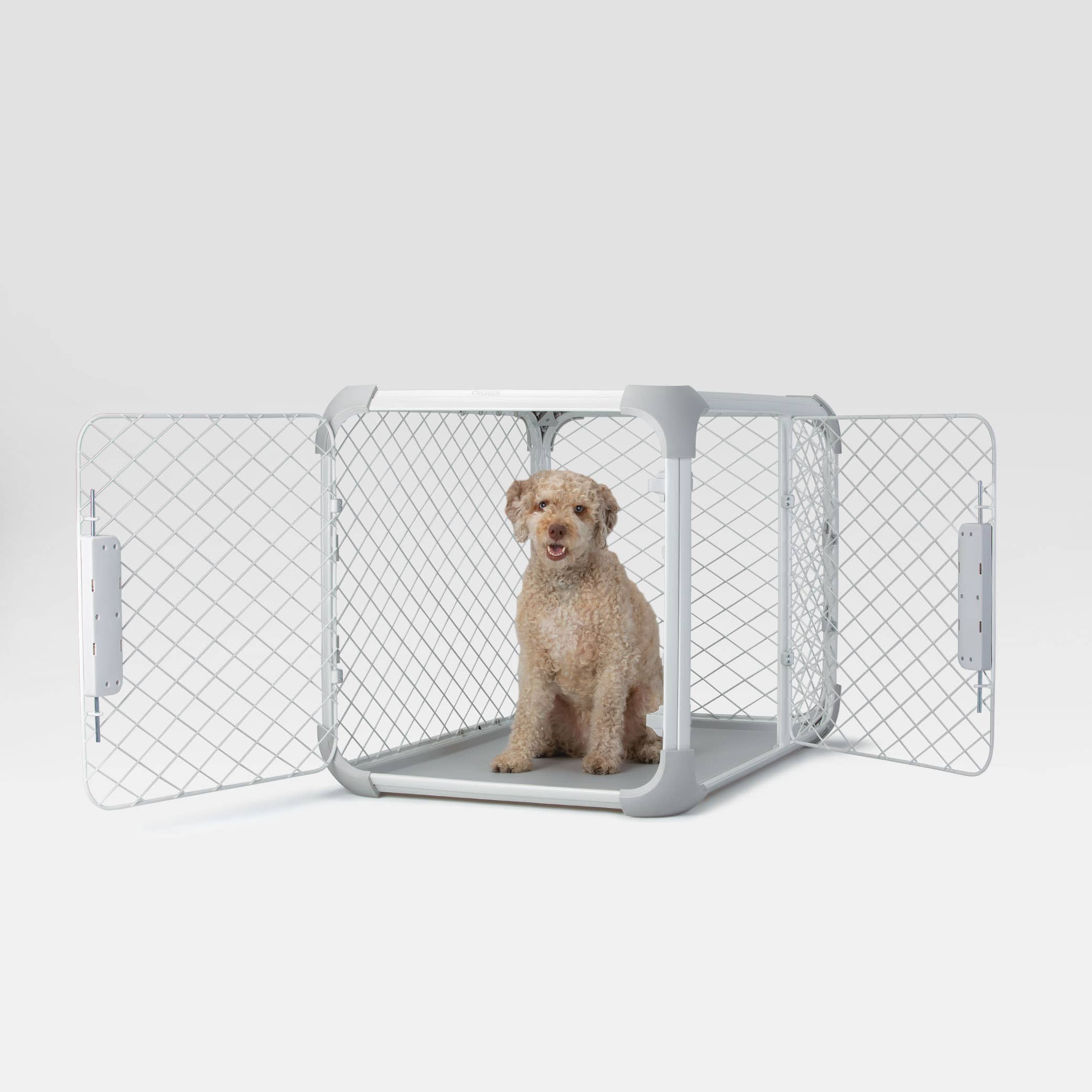 Diggs Evolv Dog Crate- Ash