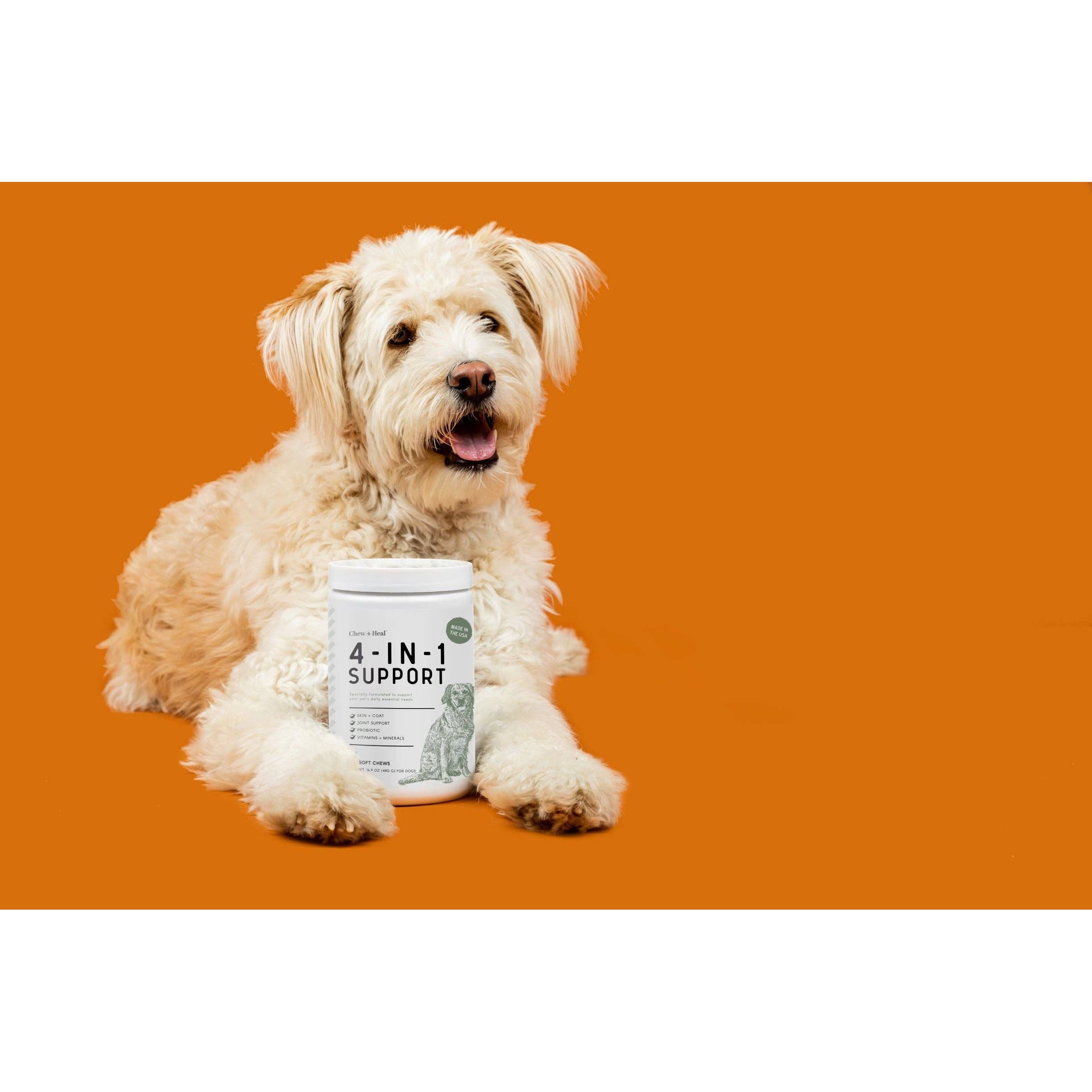 Chew + Heal 4-IN-1 Support Supplement