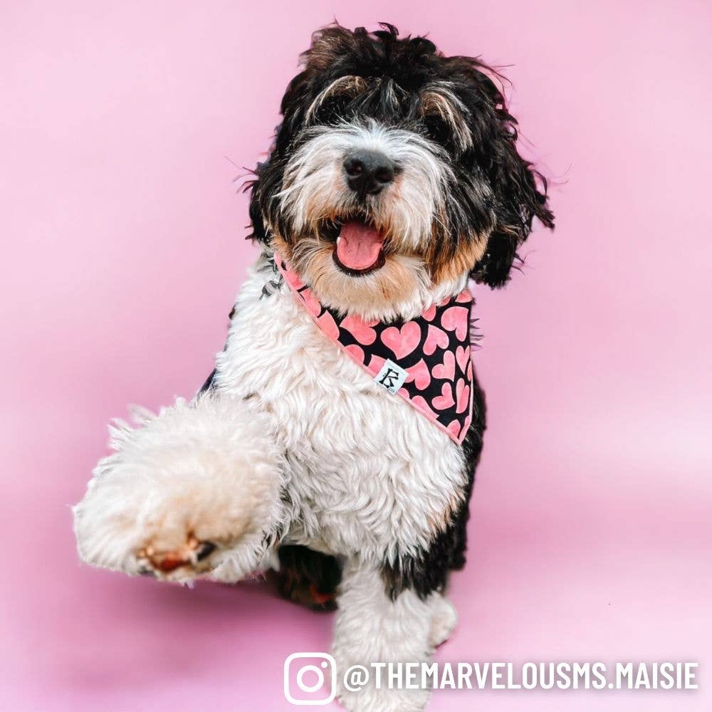 Boneyard Co. "Heartthrob" Valentine's Bandana