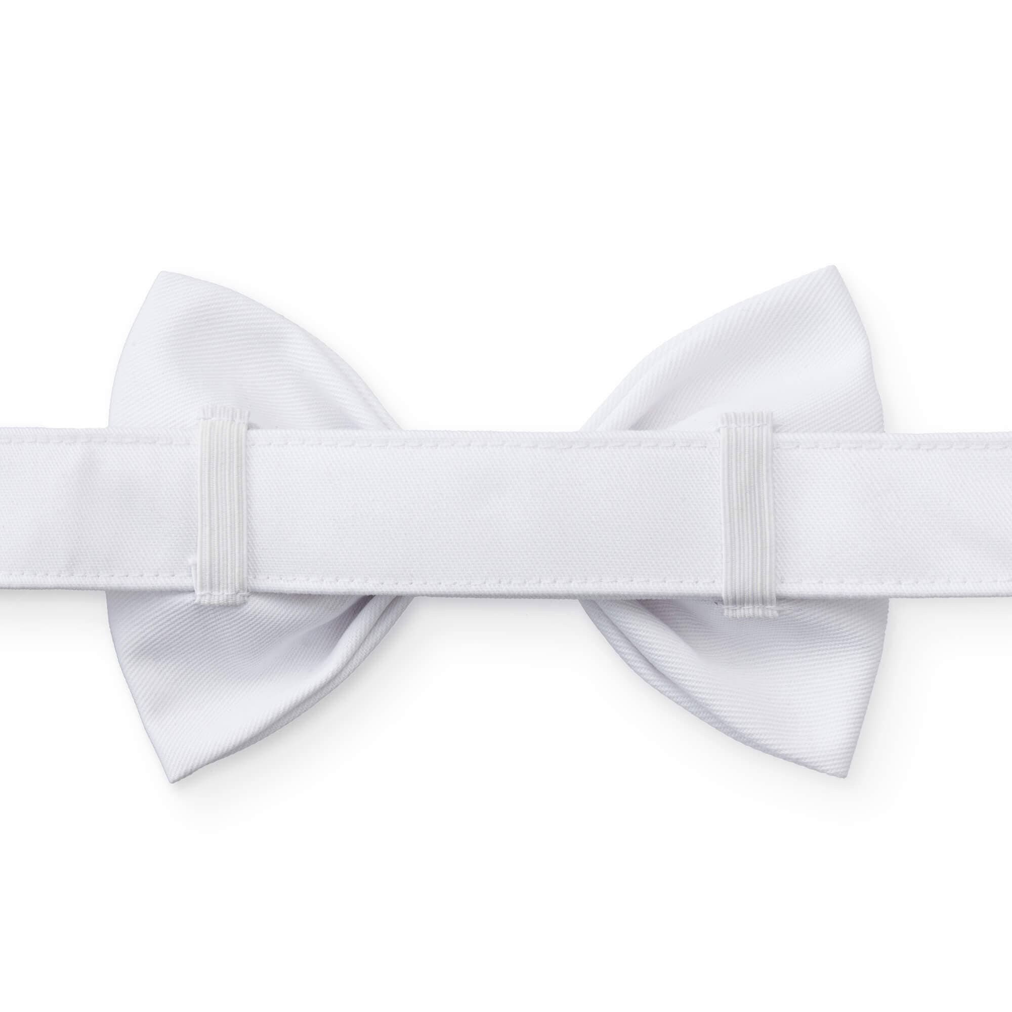 The Foggy Dog White Dog Bow Tie