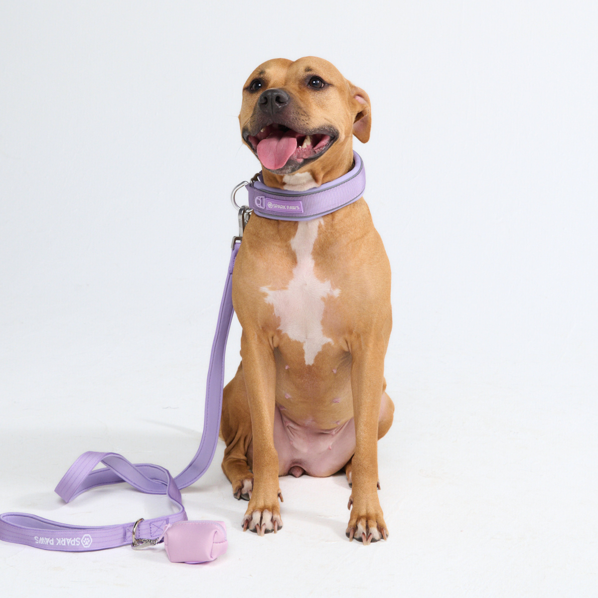 Spark Paws Martingale Collar - Lilac