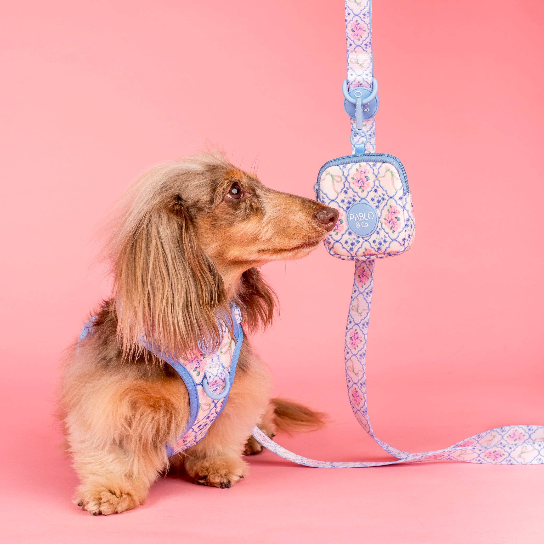 Pablo & Co Petal Treat Pouch