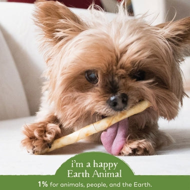 Earth Animal Dog Cat No Hide Pork Stix 10ct Treat