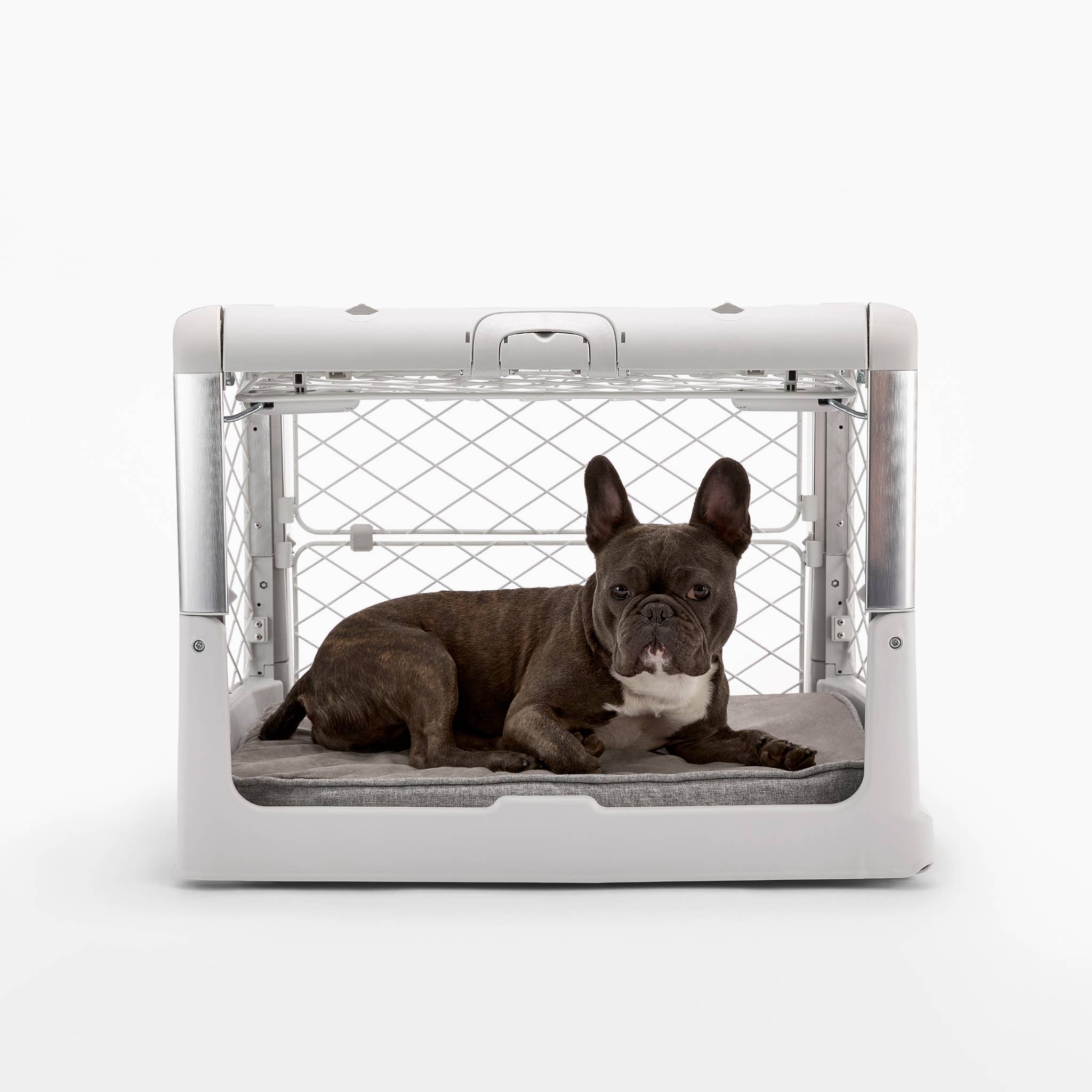 Diggs Revol Collapsible Dog Crate