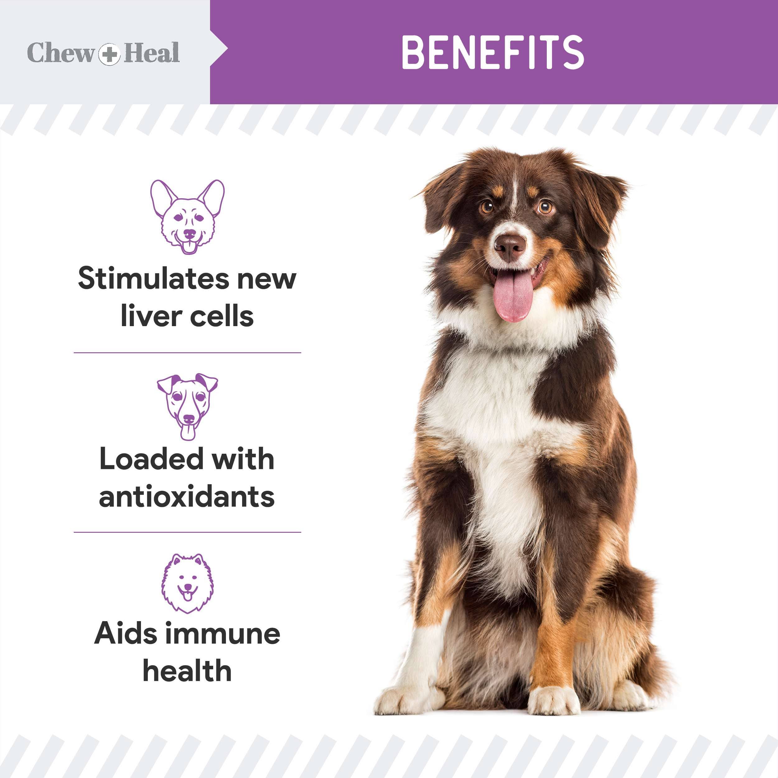 Chew + Heal Milk Thistle Tincture with Moringa & Salmon Oil for Dogs