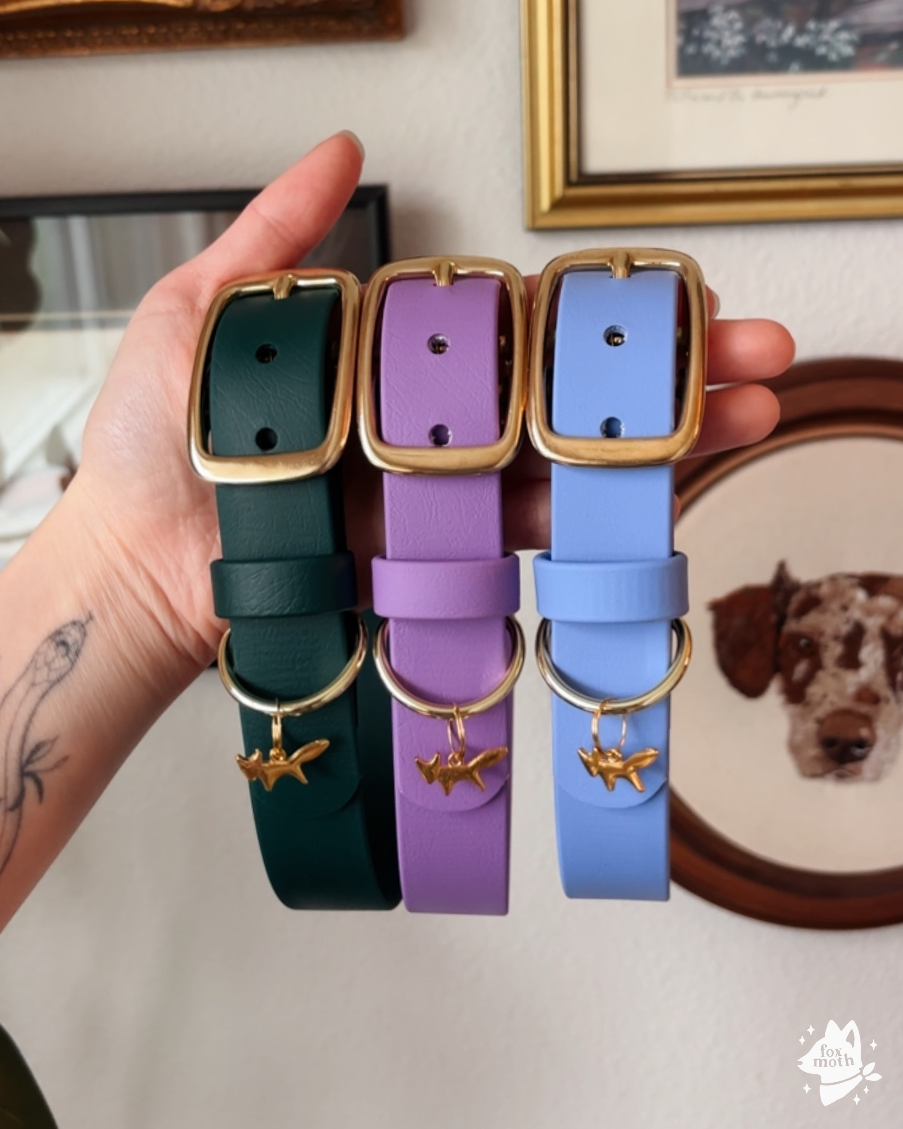 Foxmoth Waterproof Biothane Collar