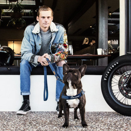 EzyDog Quick Fit Harness Denim