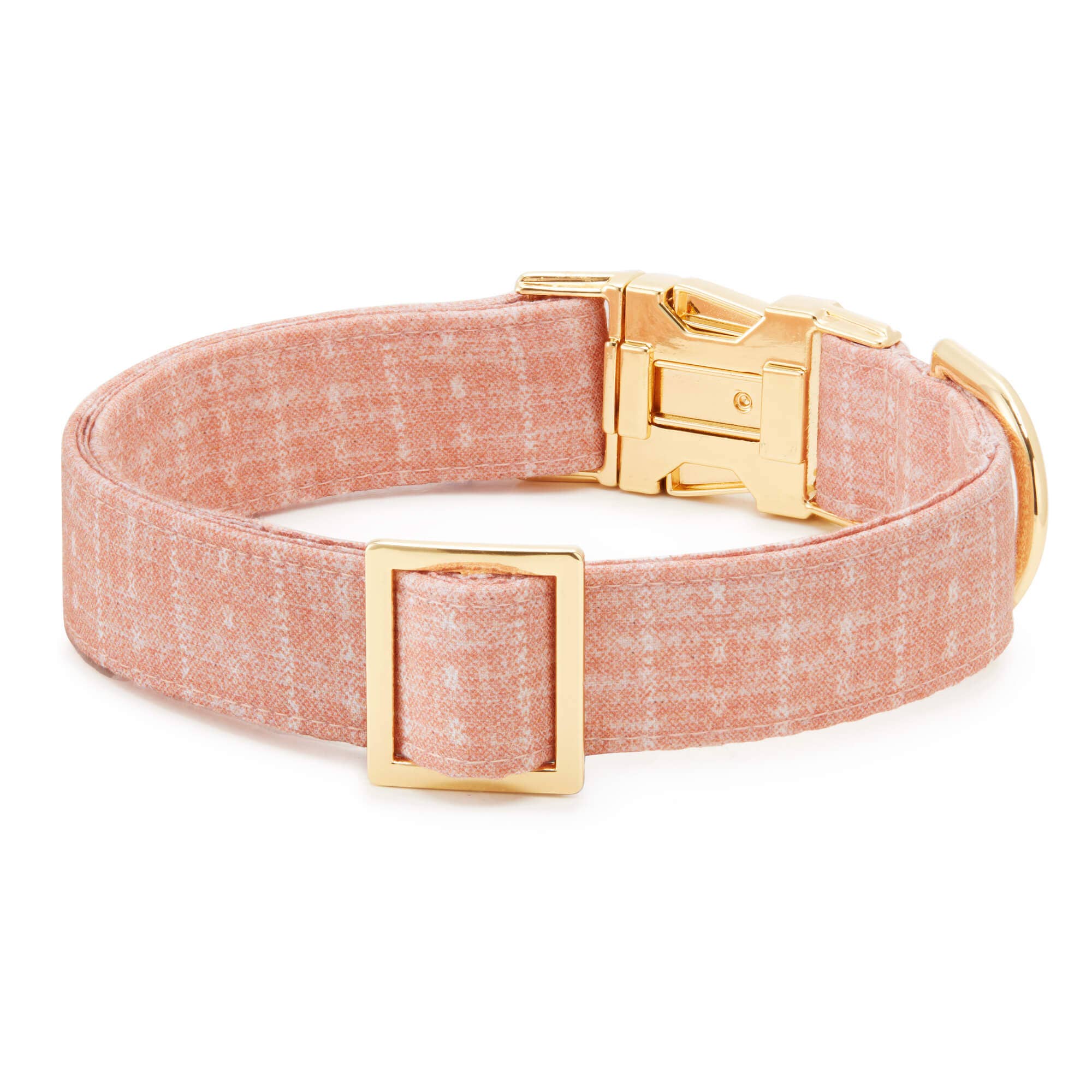 The Foggy Dog Petra Dog Collar