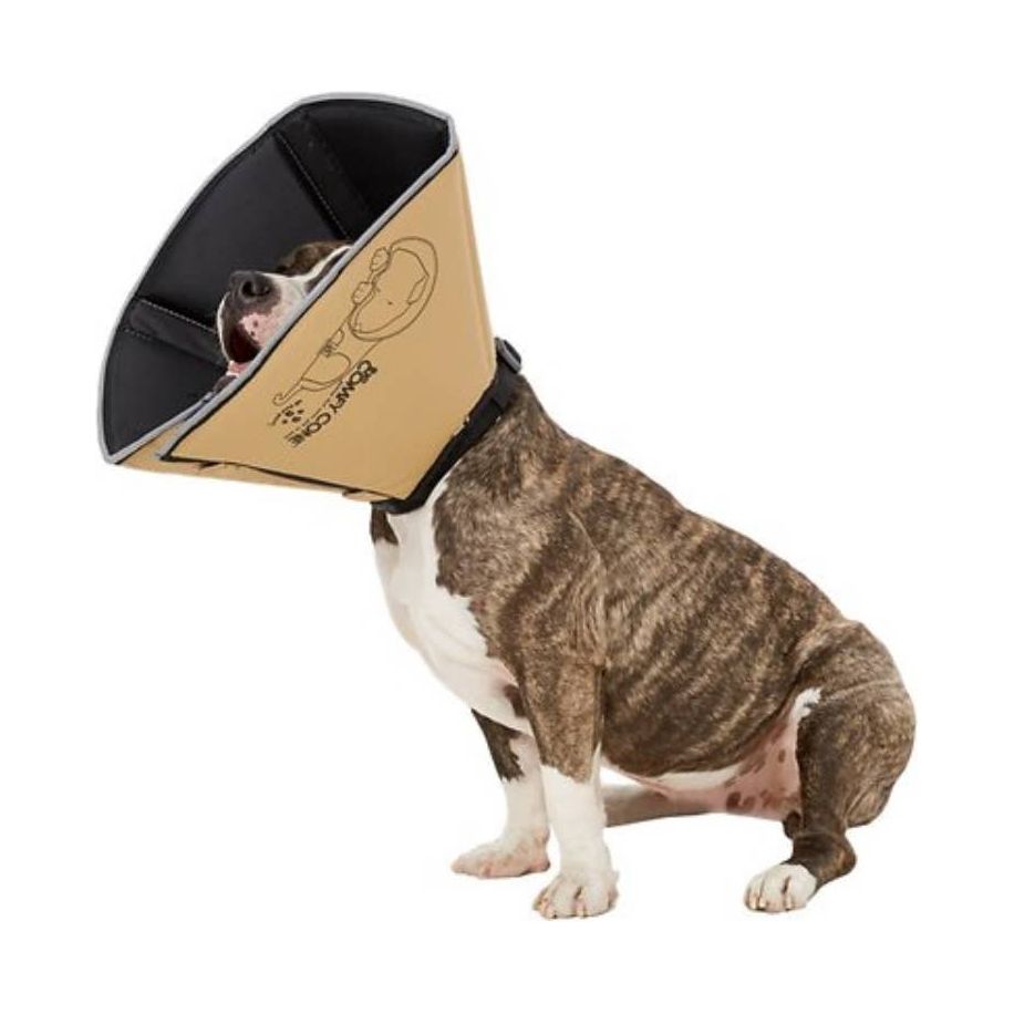 All Four Paws The Original Comfy Cone - L