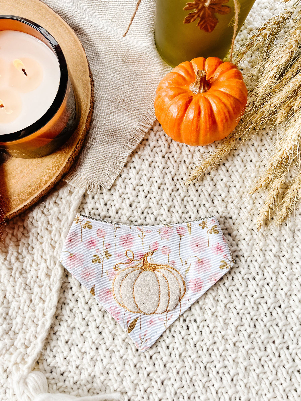 Stellaloo Pumpkin Fall Embroidered Snap-On Reversible Dog Bandana