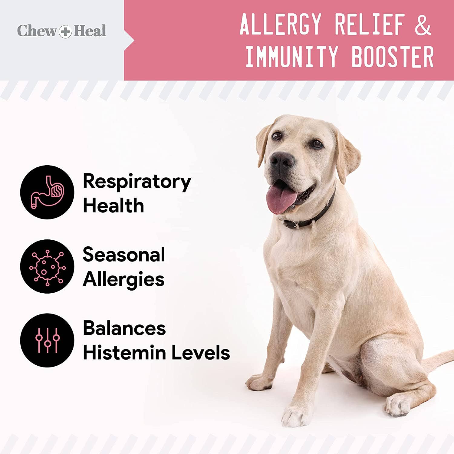 Chew + Heal Allergy Chews with Antioxidants