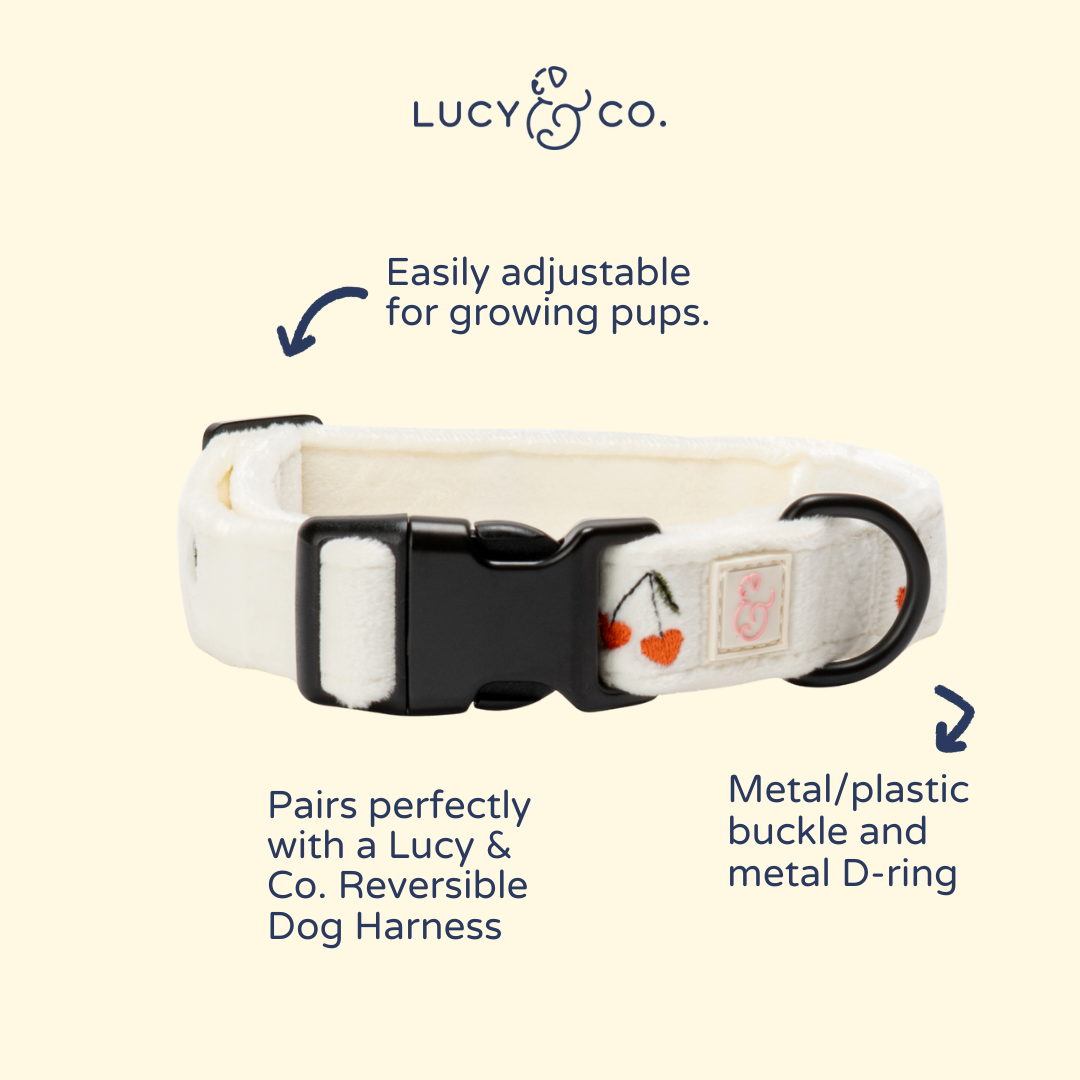 Lucy & Co. Cherry Cute Collar