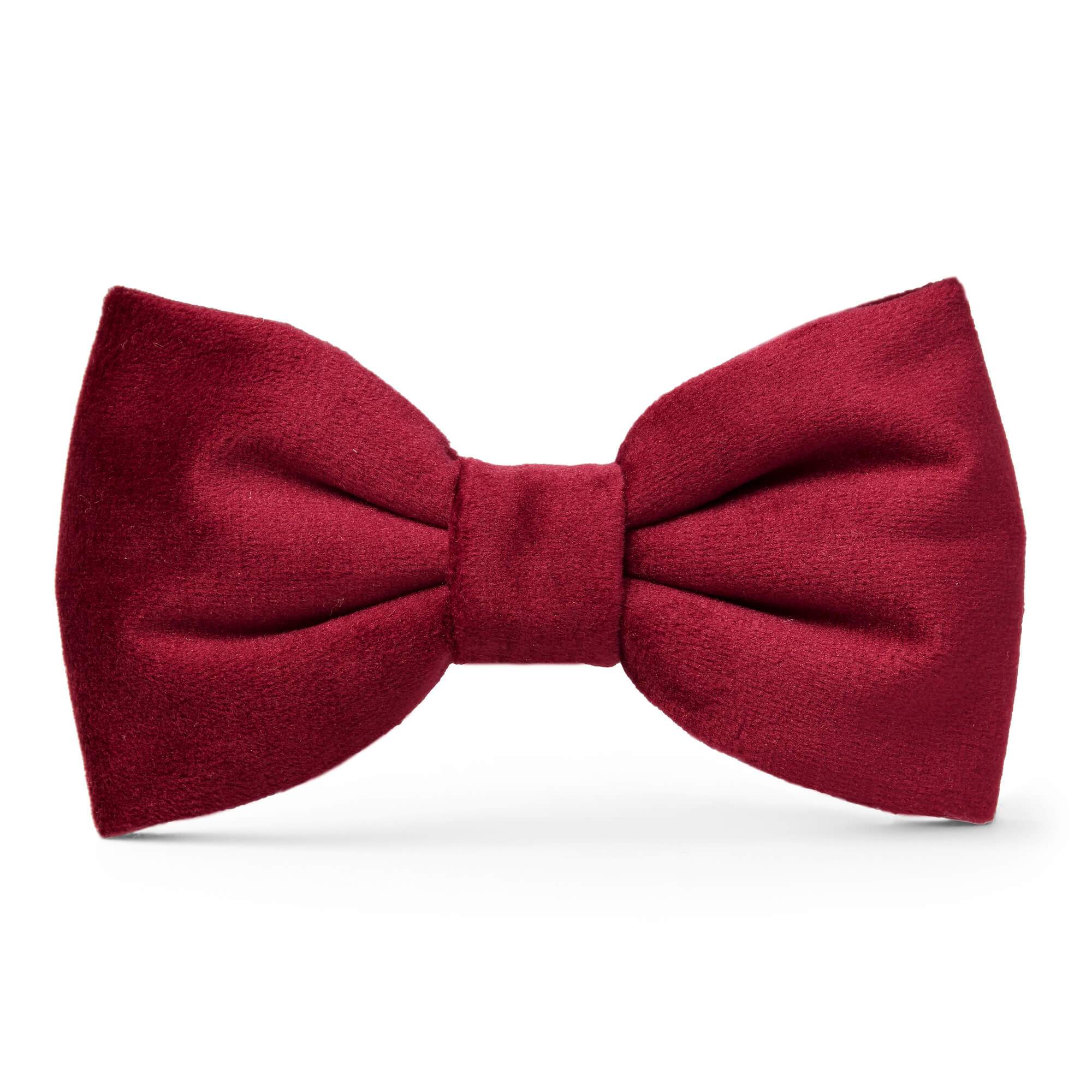 Burgundy Velvet Valentine's Day Dog Bow Tie