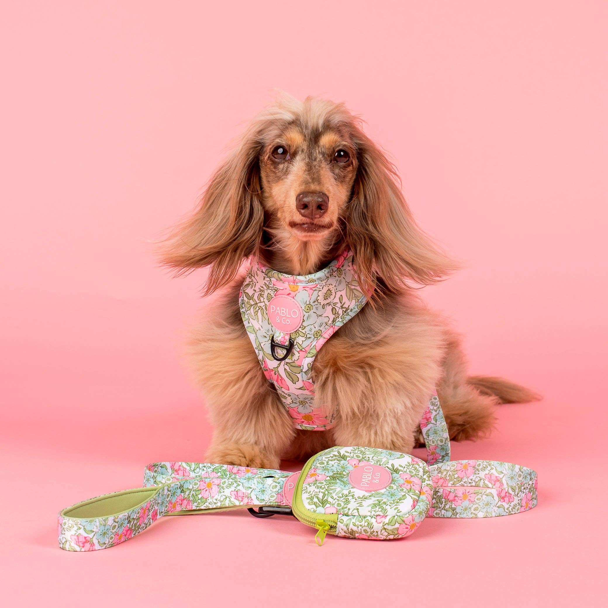 Pablo & Co Flora & Fern Dog Treat Pouch