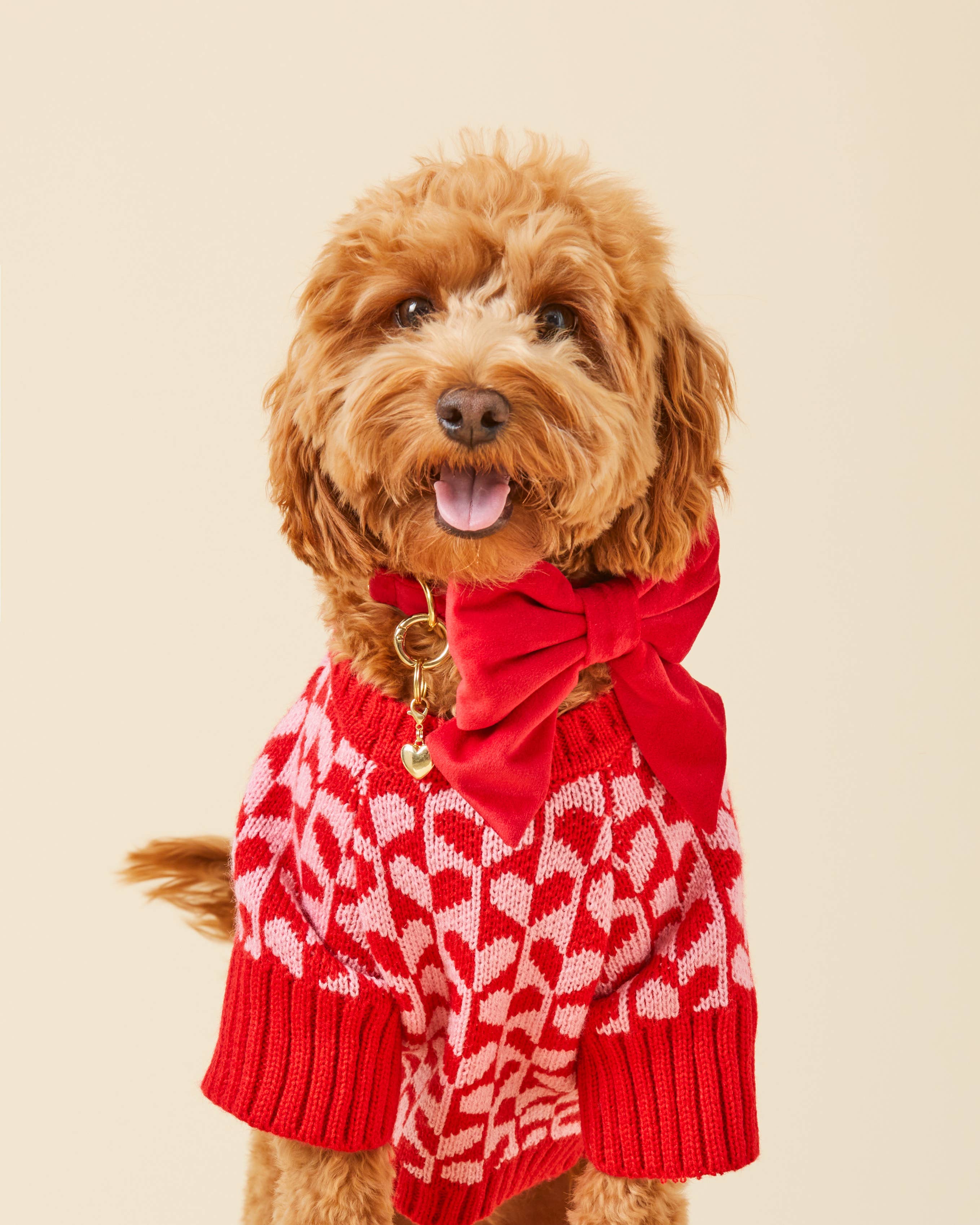 Heart Stripe Valentine's Day Dog Sweater