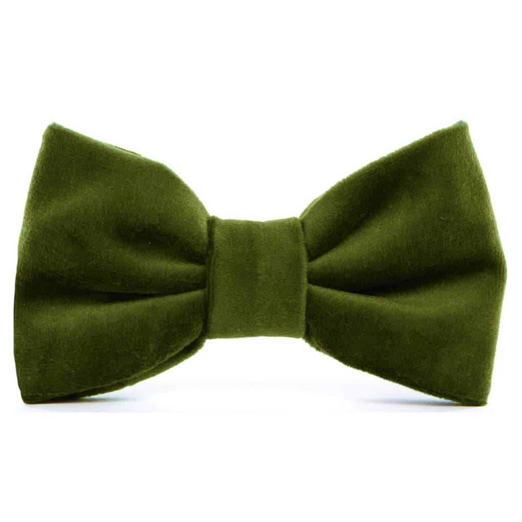 The Foggy Dog Olive Bow Tie