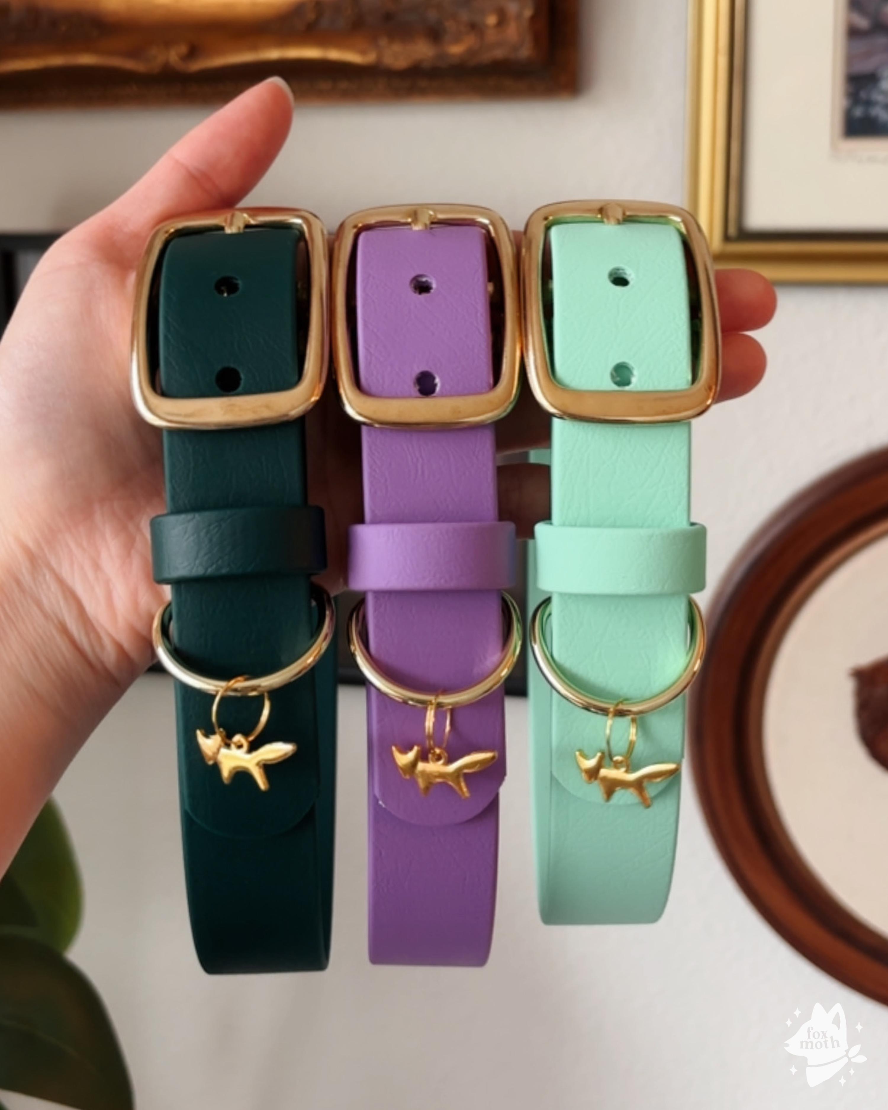 Foxmoth Waterproof Biothane Collar