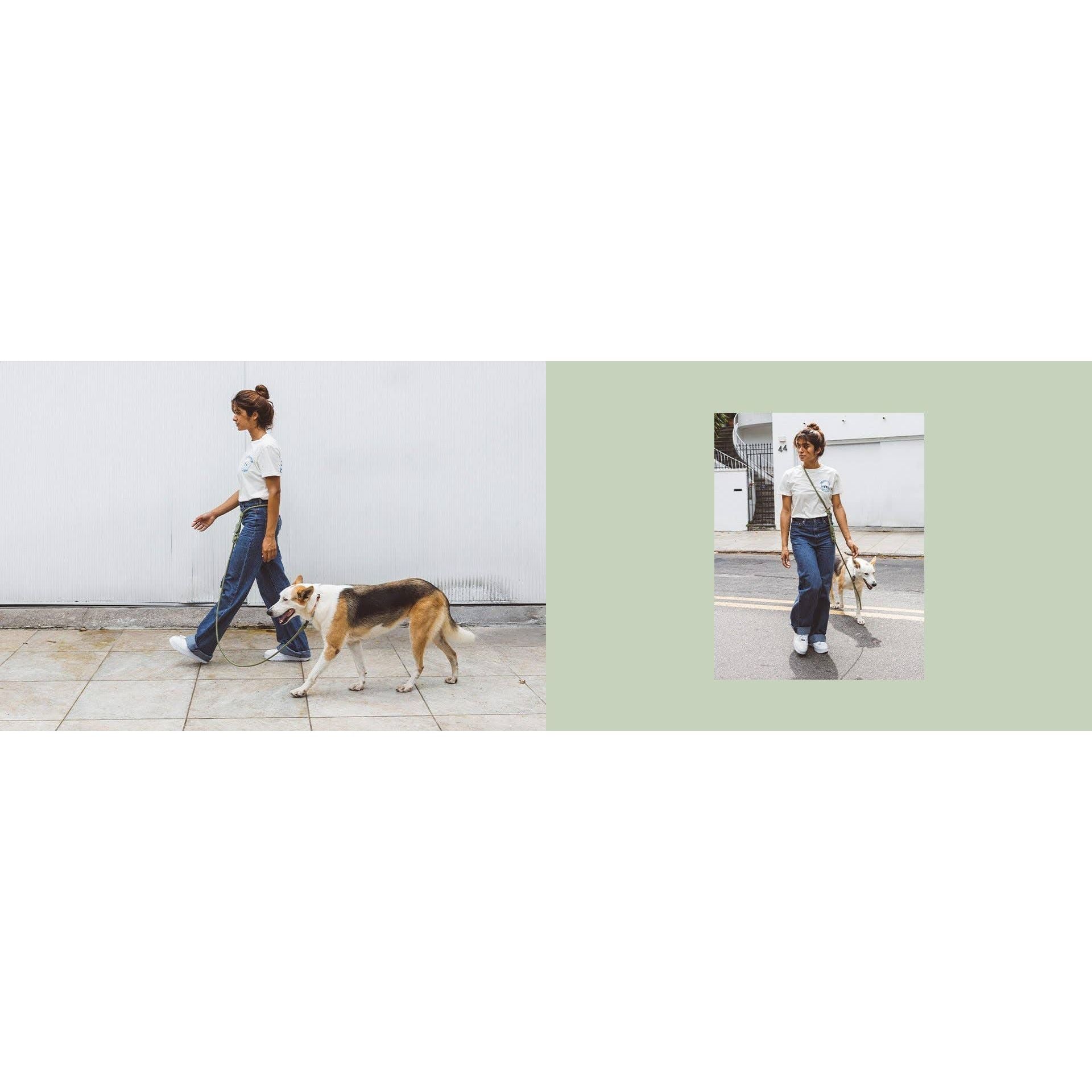 Zee.Dog Hands-Free Leash - Army Green